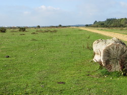 Feb 2014: C9 view eastwards